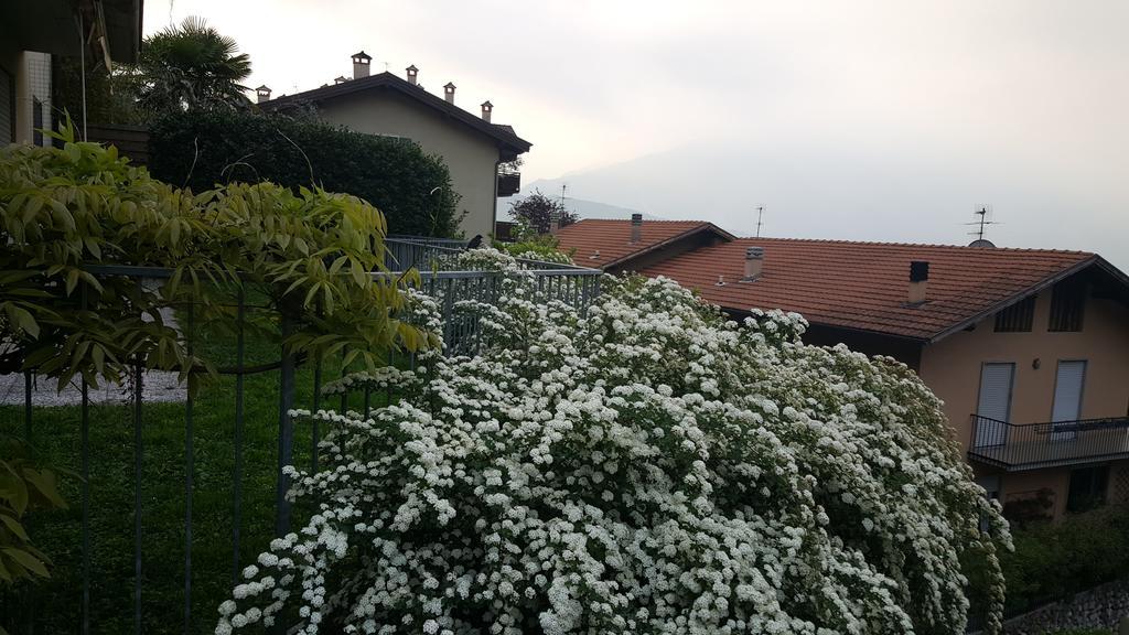 Apartment Weiss Home Riva del Garda Exterior foto